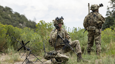 167 PAL BNVD Fused British Infantry 7642 07 27 2022 15 15 53