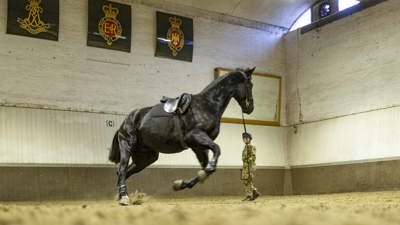 horsesreturn14
